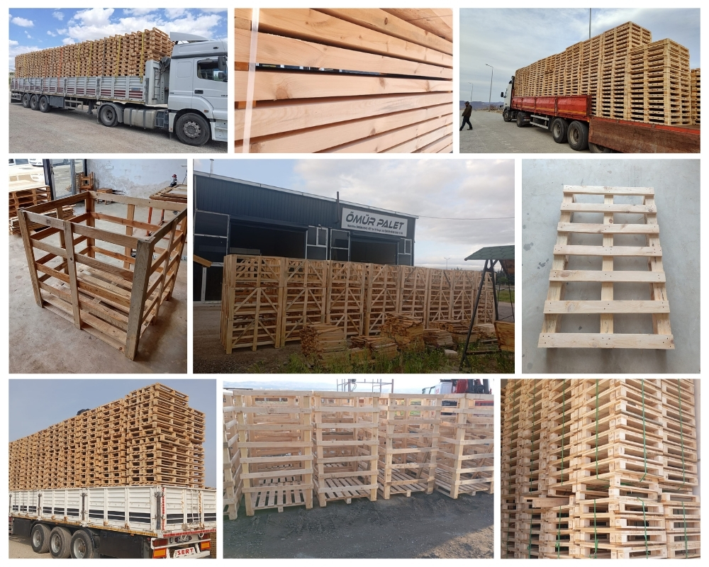 Den Dolder Houten Kisten, Europallets Groothandel Kopen